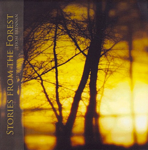 Stories From the Forest