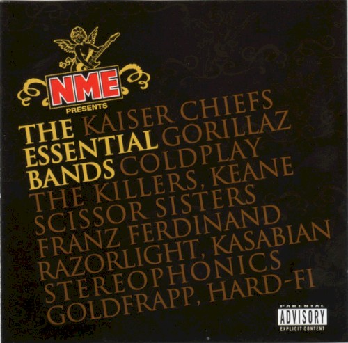 NME Presents: The Essential Bands
