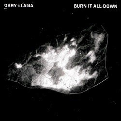 Burn It All Down