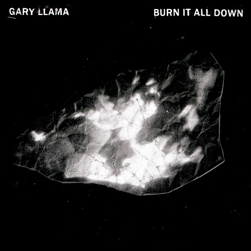 Burn It All Down