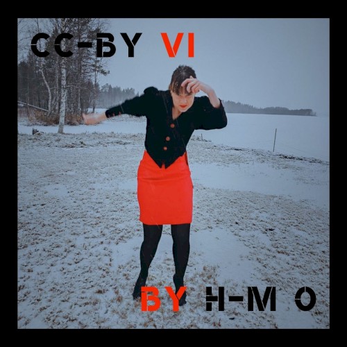 CC-BY VI by H-M O