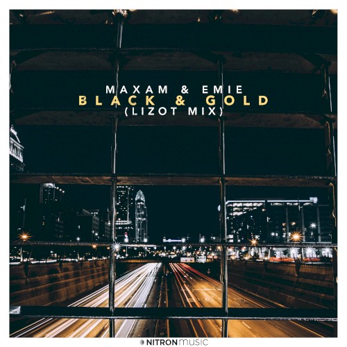 Black & Gold (LIZOT mix)
