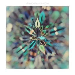 A Strangely Isolated Place / 2024 (mixed by todos)