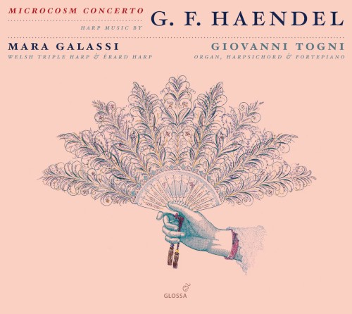 Microcosm Concerto