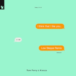 I Think That I Like You (Low Steppa remix)