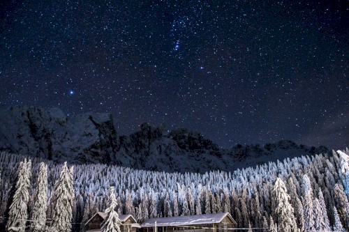A Blanket of White in the Night