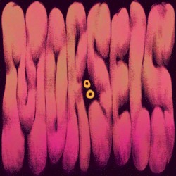 Morsels (Original Soundtrack)