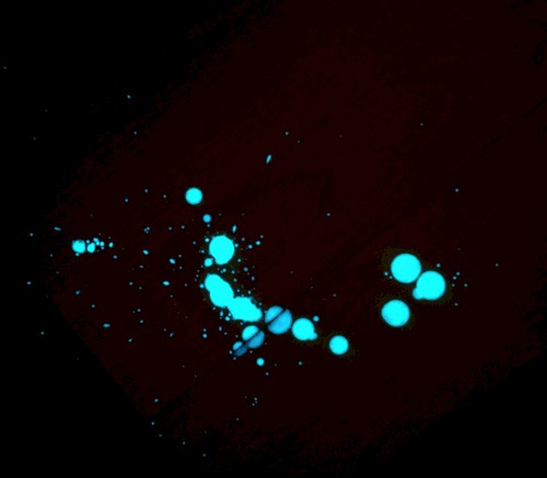 Spatter Pattern