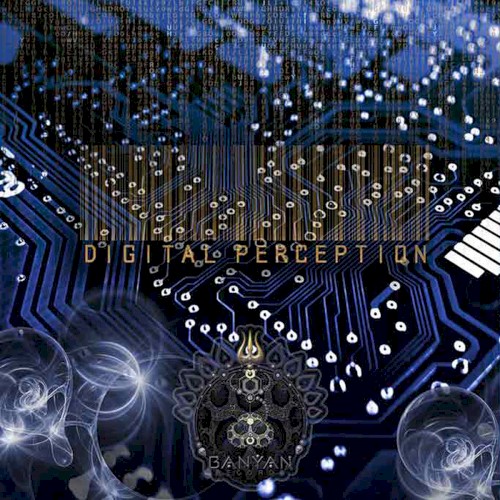 Digital Perception