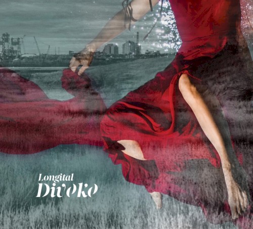 Divoko