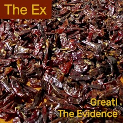 Great! / The Evidence