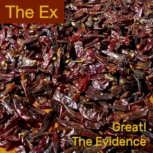 Great! / The Evidence