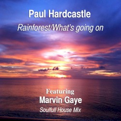 Rainforest/What’s Going On (Soulful House Mix)