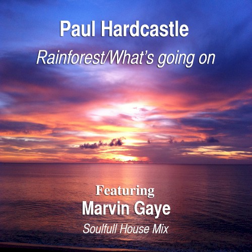 Rainforest/What’s Going On (Soulful House Mix)