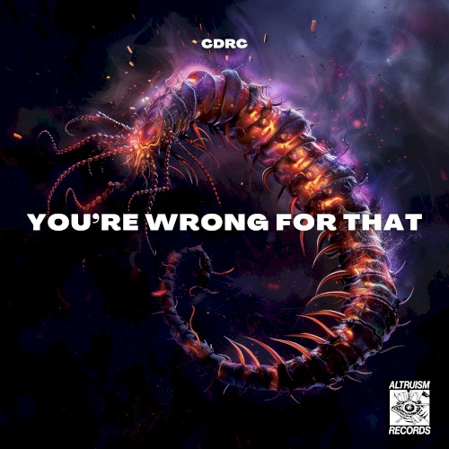 You're Wrong for That