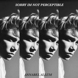 Sorry I’m Not Perceptible