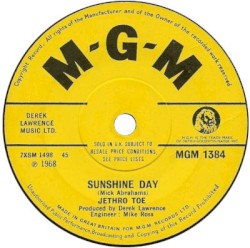 Sunshine Day / Aeroplane