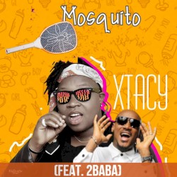 Mosquito