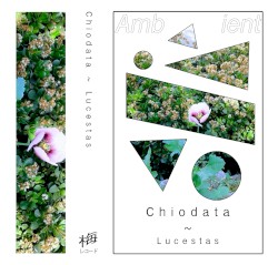 Lucestas