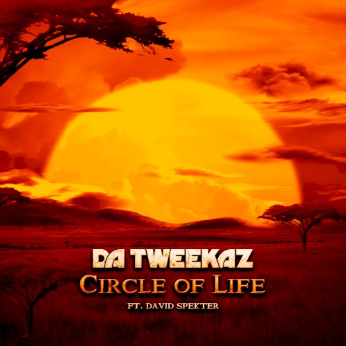 Circle of Life