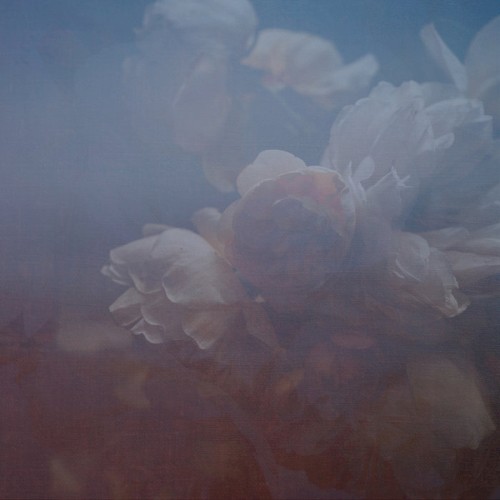 Relic