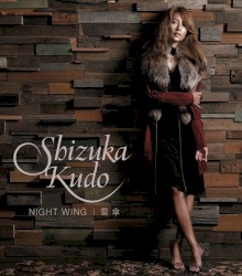 NIGHT WING / 雪傘
