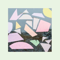 Montpelier / Rumex
