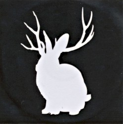 Burial / Animal