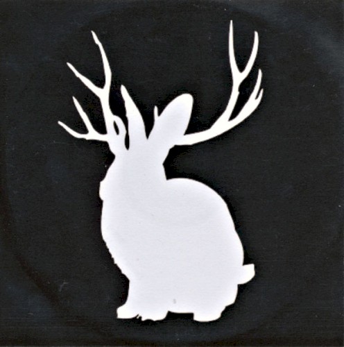 Burial / Animal