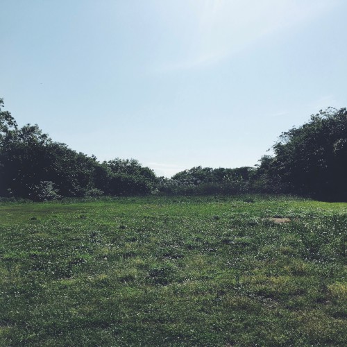 Hayama Ambient 001