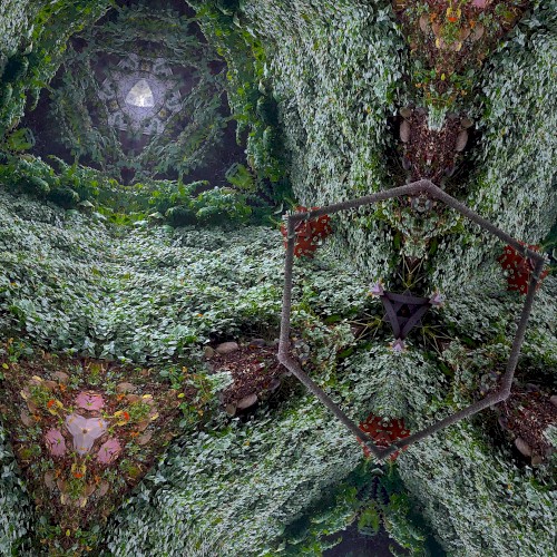 THE EUCALYPTUS GROVE