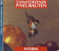 Interim
