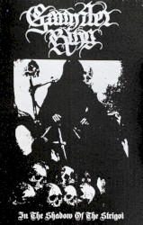 In the Shadow of the Strigoi