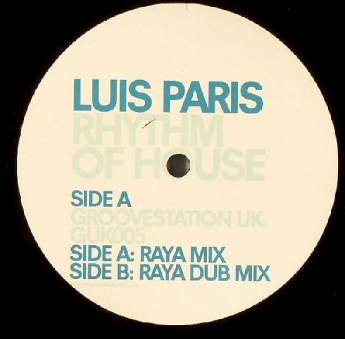 Rhythm Of House Vinyl