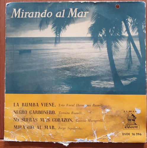 Mirando al mar