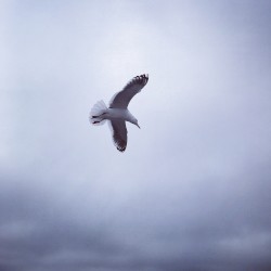 Dawn_EP