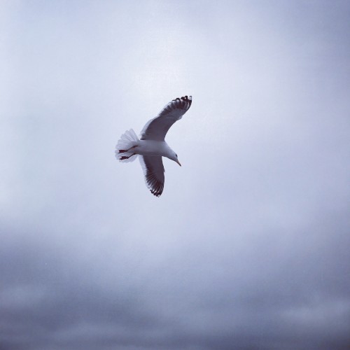Dawn_EP