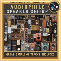 Audiophile Speaker Set-Up