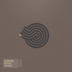 Remixes