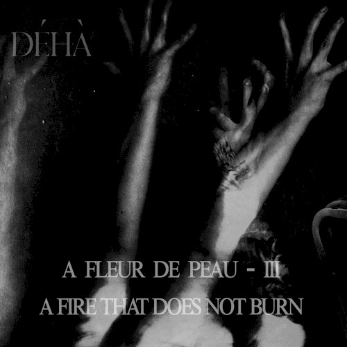 A fleur de peau – III – A Fire That Does Not Burn