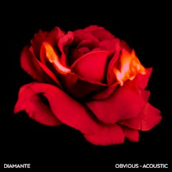 Obvious (acoustic)