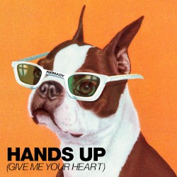 Hands Up (Give Me Your Heart)