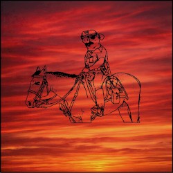 Pigs on Horses
