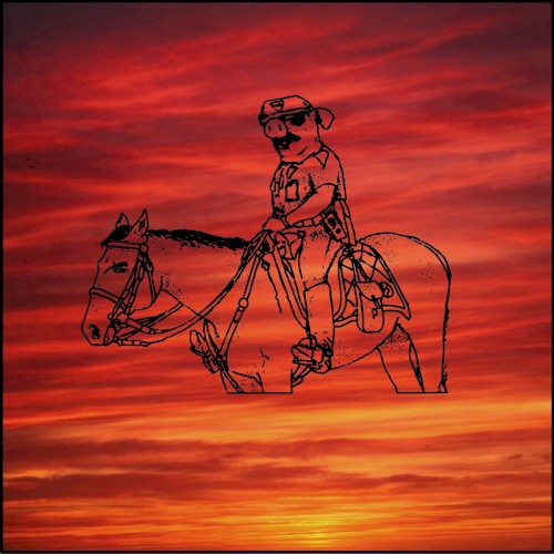 Pigs on Horses