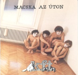 Macska az úton