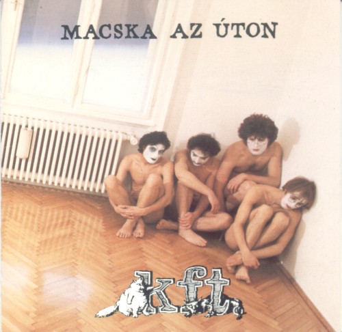 Macska az úton