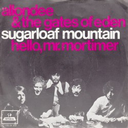 Sugarloaf Mountain / Hello, Mr. Mortimer