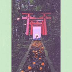 balance flute ballad