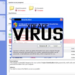 virus