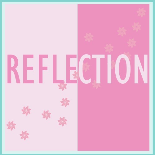 Reflection